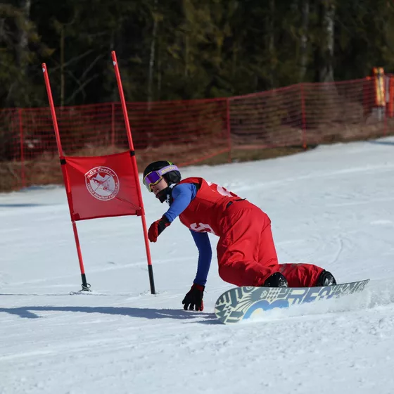 MURZASICHLE 12.01 - 17.01.2025 - BIAŁA SZKOŁA